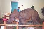 Sandra with animated triceratops
