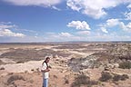 View near visitor center