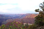 Mather Point, late
