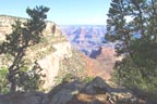 An artsy view - the trail is below